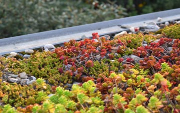 the cost of Shenley Church End green roof installation