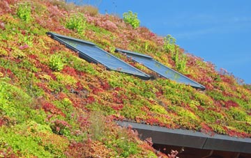 Shenley Church End living roof systems